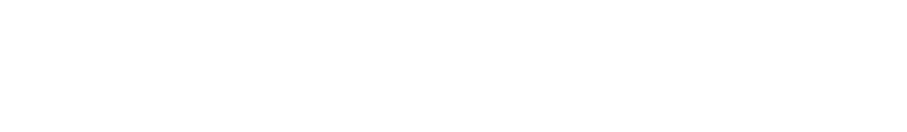 BethesdaSystems logo white